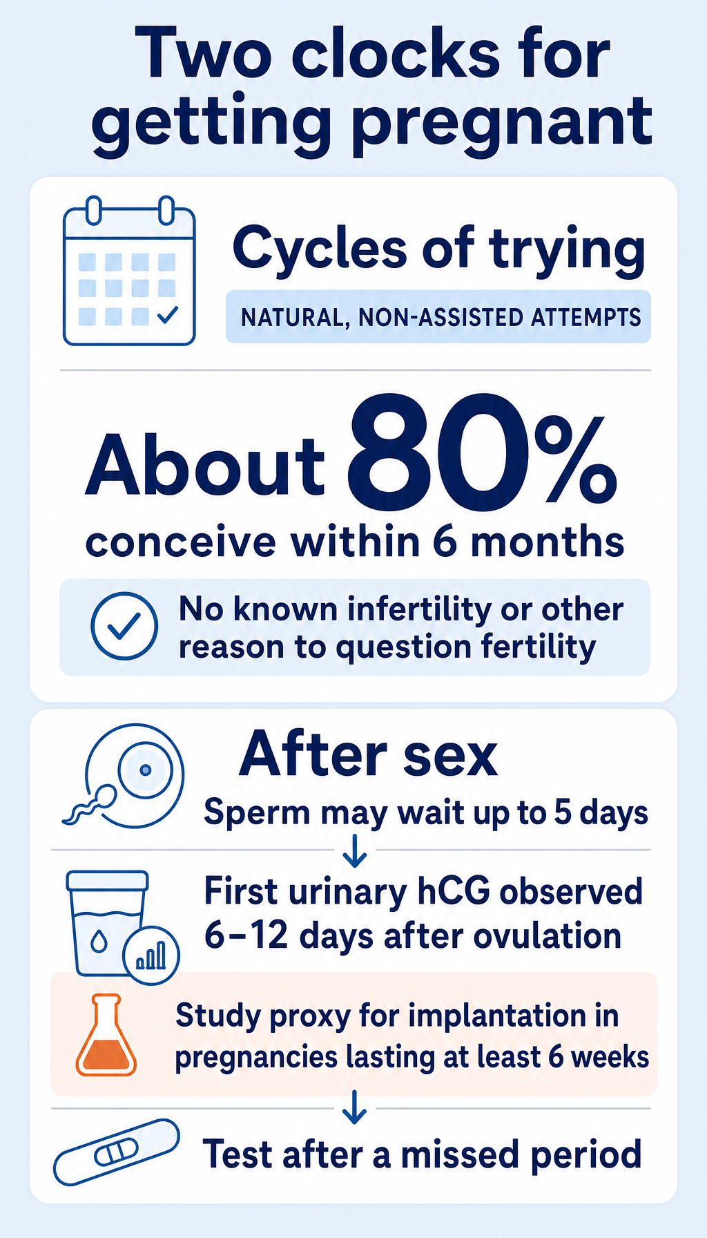 Two timelines for getting pregnant, with qualifications for natural attempts and urinary hCG as an implantation proxy